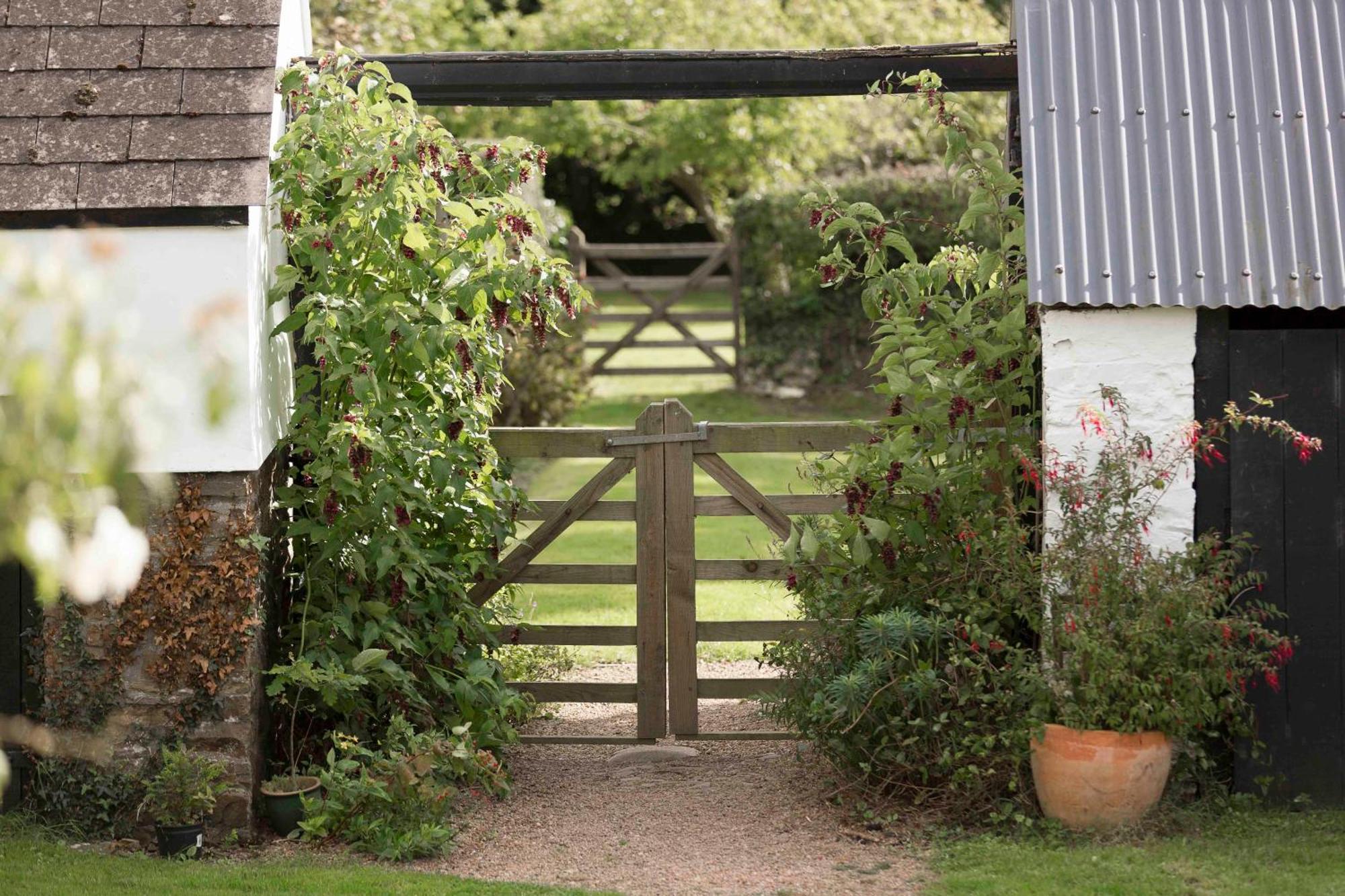 The Snug Appartement Bideford Buitenkant foto